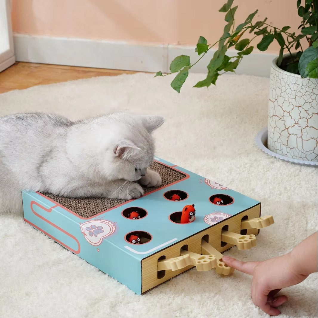 3 in 1 Cat Scratcher Maze Toy, Engaging Puzzle Tunnel, Interactive Cat Enrichment Toy for Play for Indoor Cats, Kittens & Energetic Pets