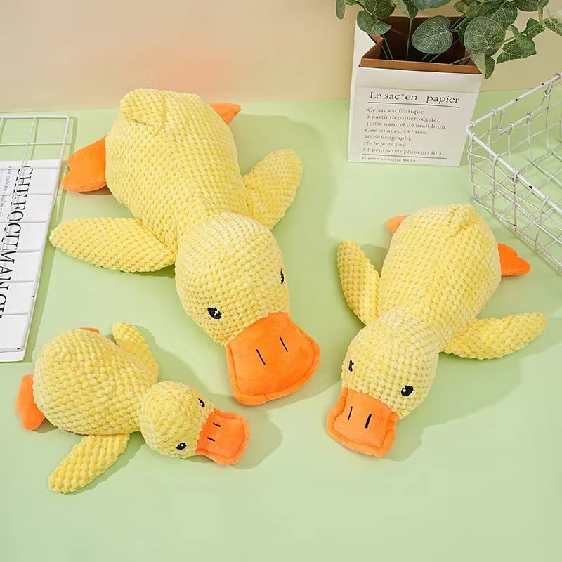 Calming Duck Toy