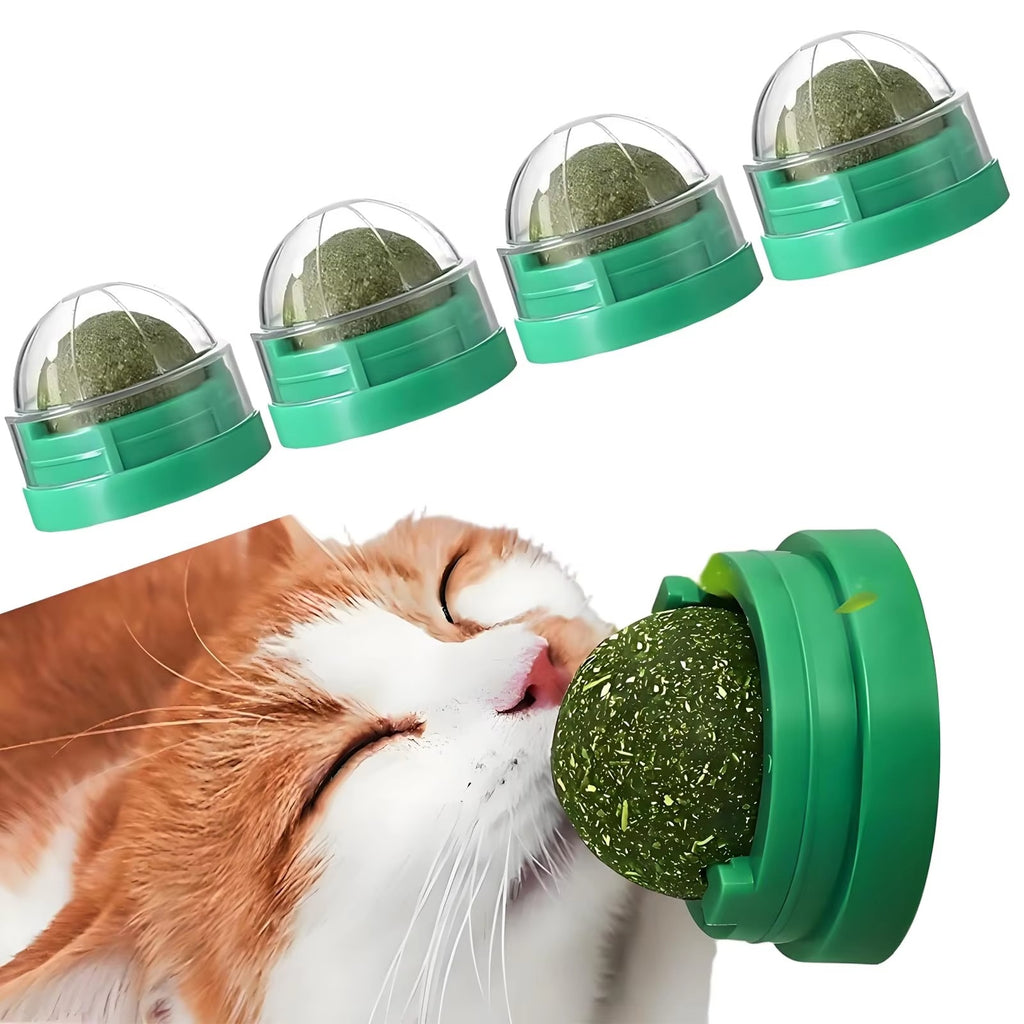 Catnip Wall Balls