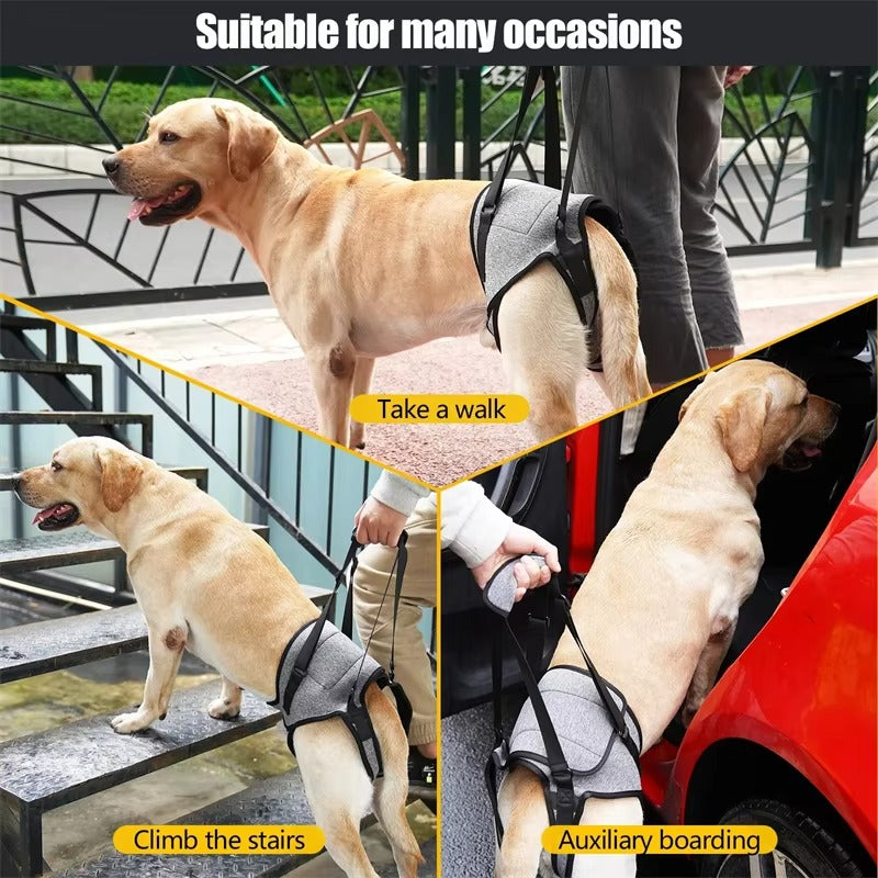 Adjustable Dog Lift Harness