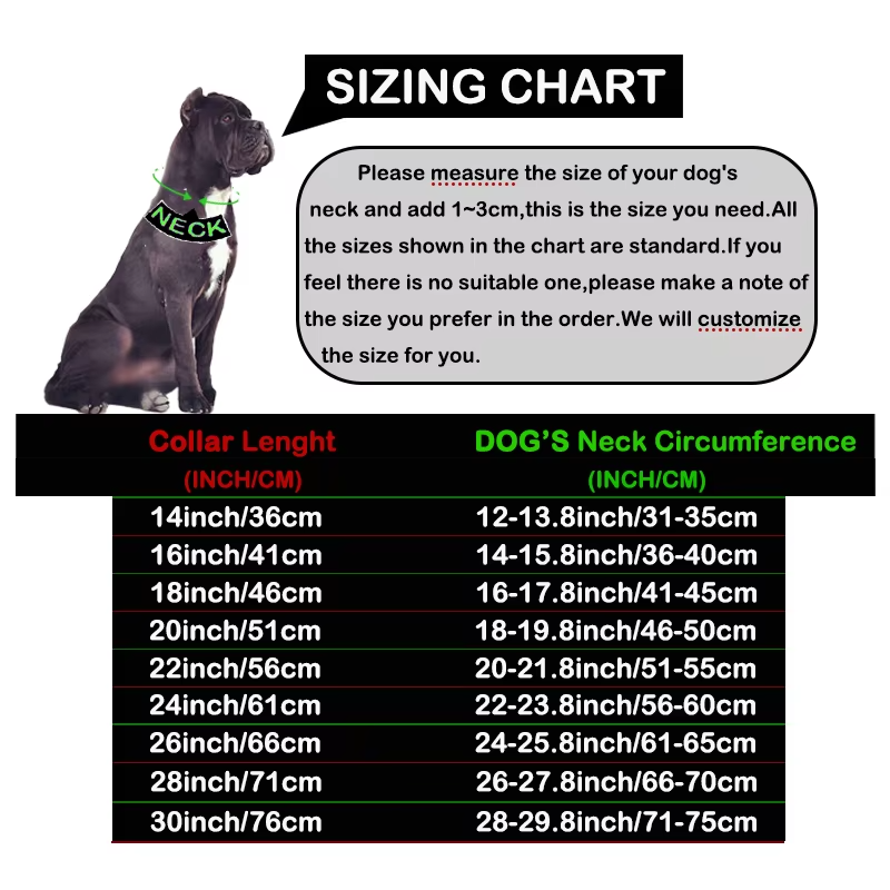 Metal Chain Dog Collar