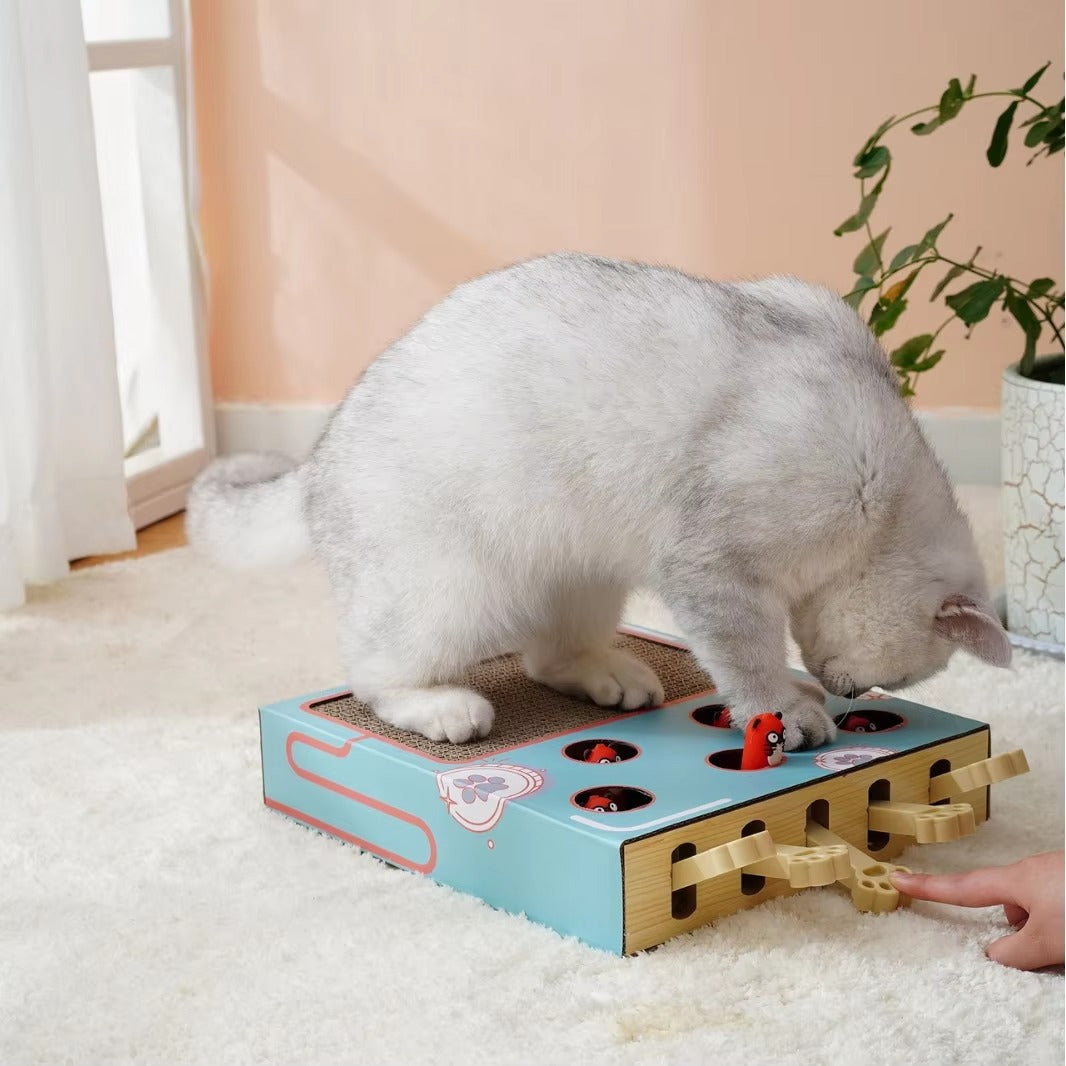 3 in 1 Cat Scratcher Maze Toy, Engaging Puzzle Tunnel, Interactive Cat Enrichment Toy for Play for Indoor Cats, Kittens & Energetic Pets