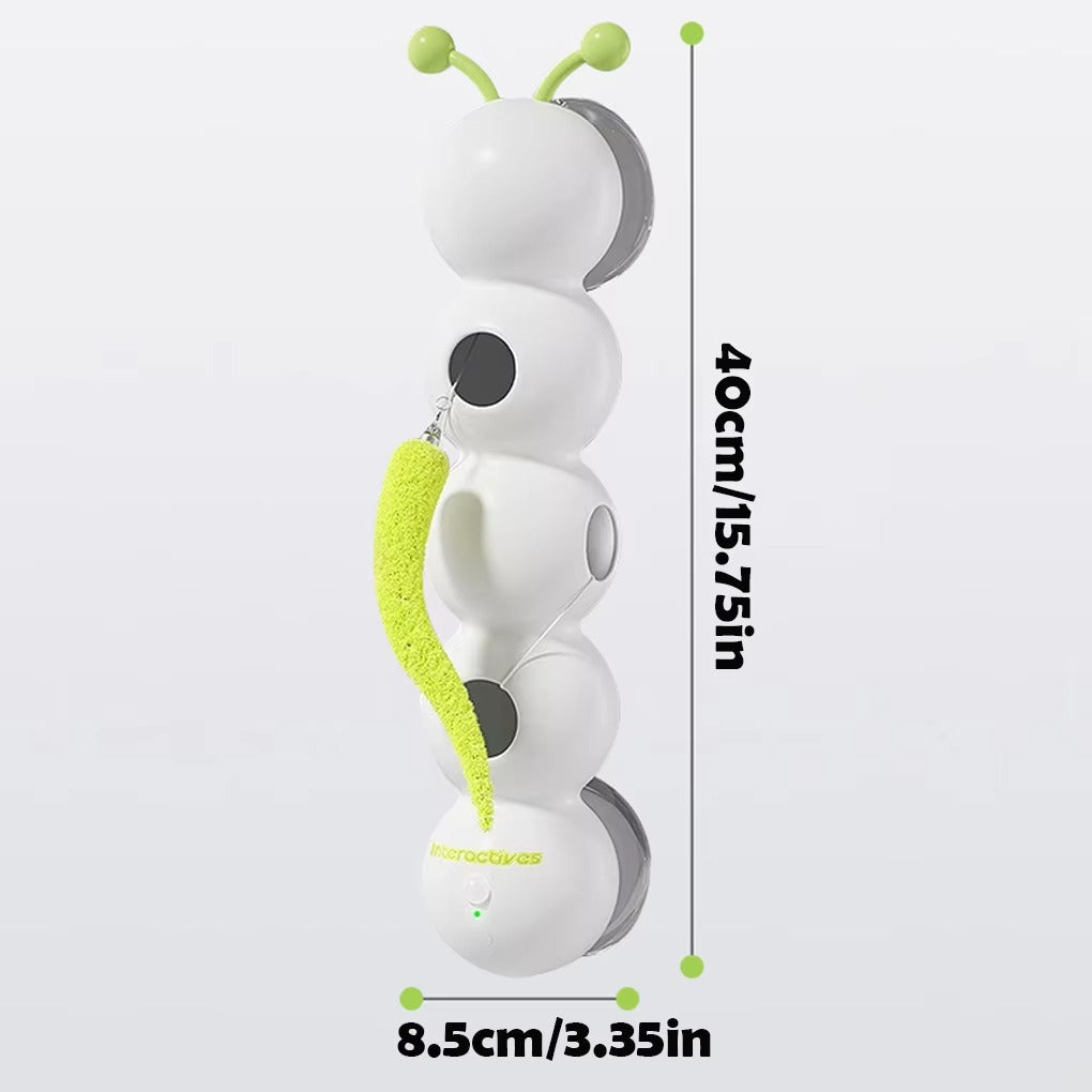 Interactive Worm Toy