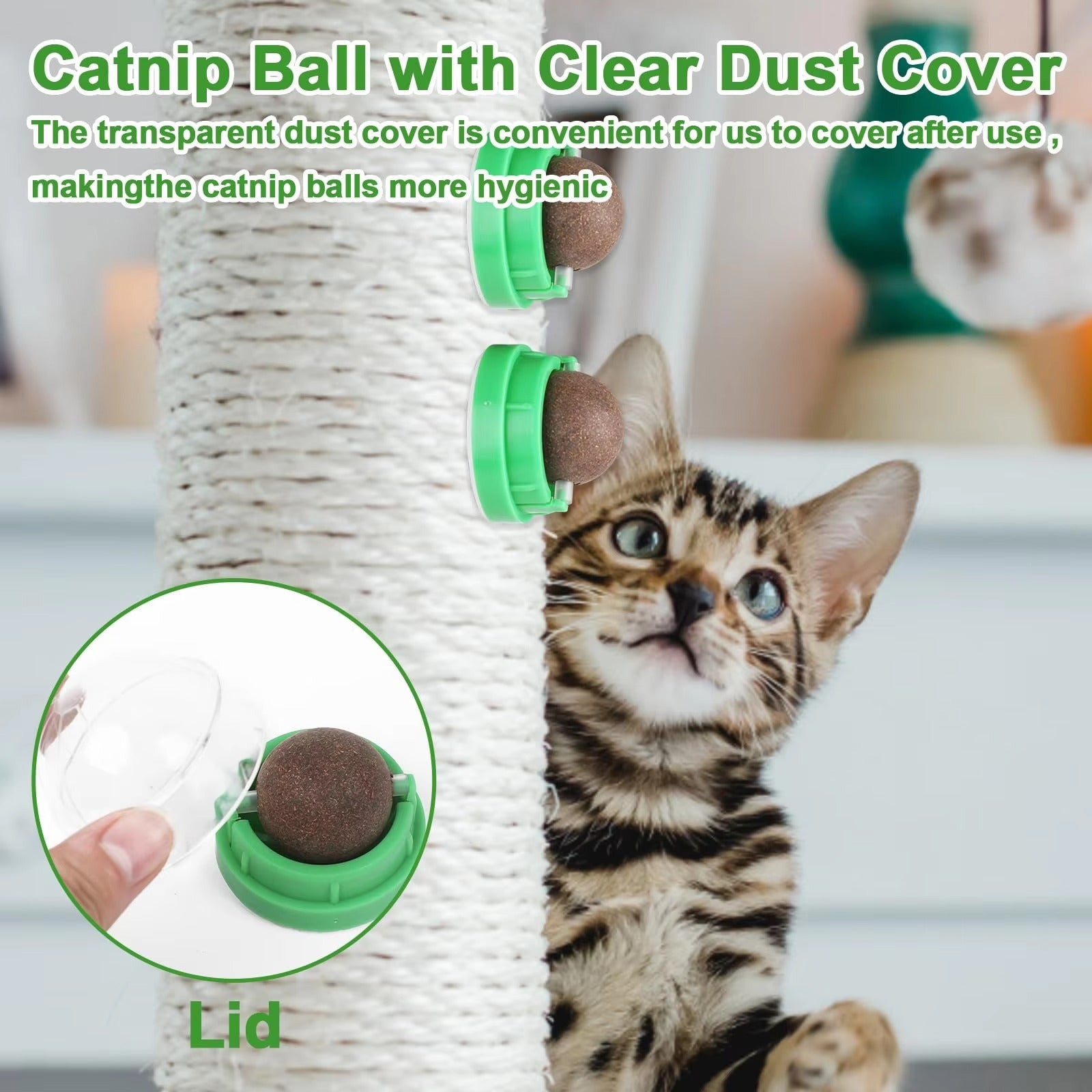 Catnip Wall Balls
