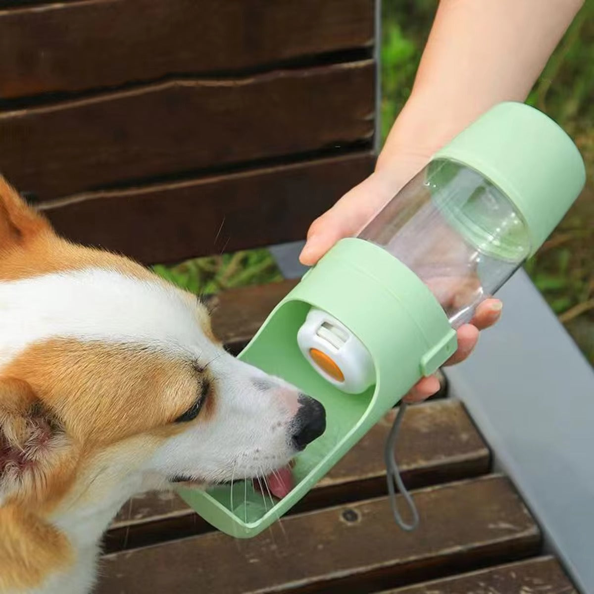 Travel Pet Bottle