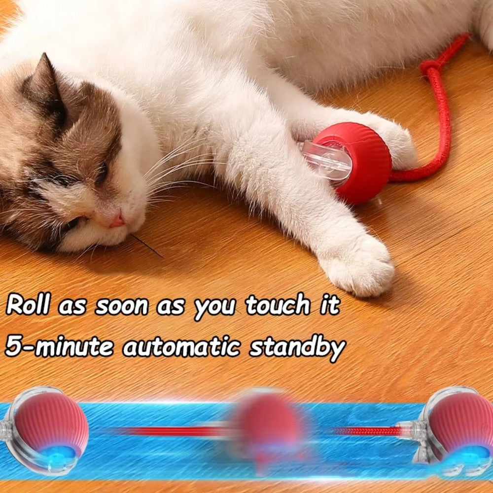 Rolling Cat Ball