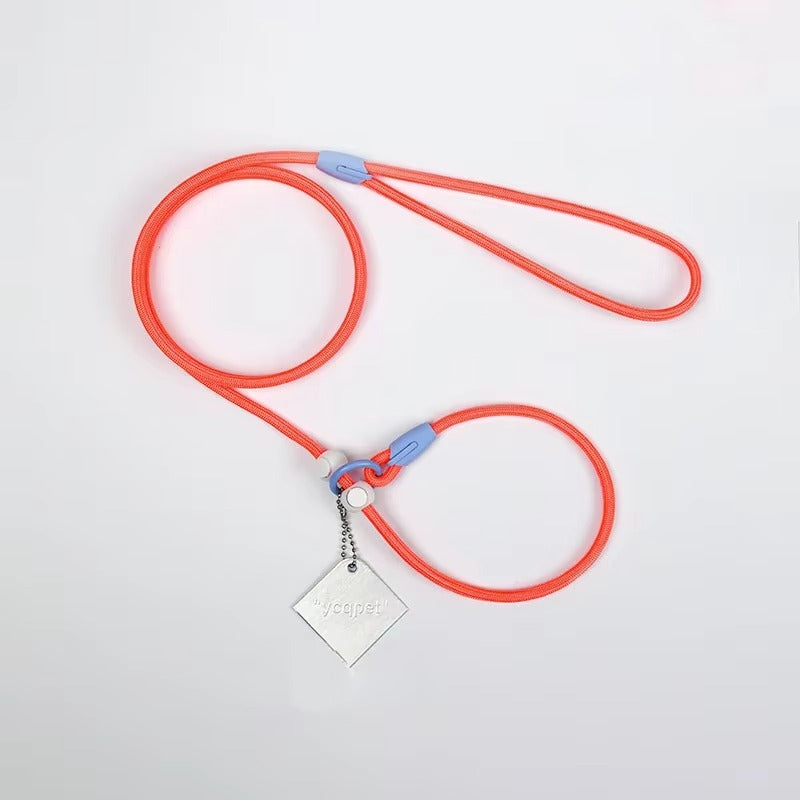 Adjustable Slip Rope Training Leash for Dogs – Strong, No-Pull Lead for Walking, Behavior Training and Outdoor Control