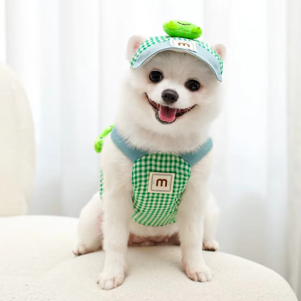 Cartoon Harness Hat Leash Set