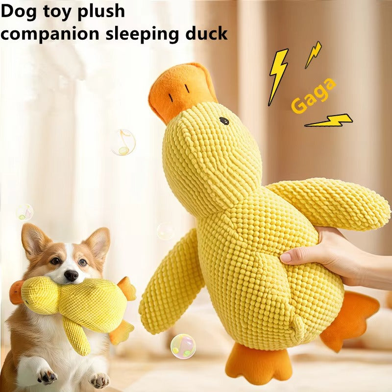 Calming Duck Toy