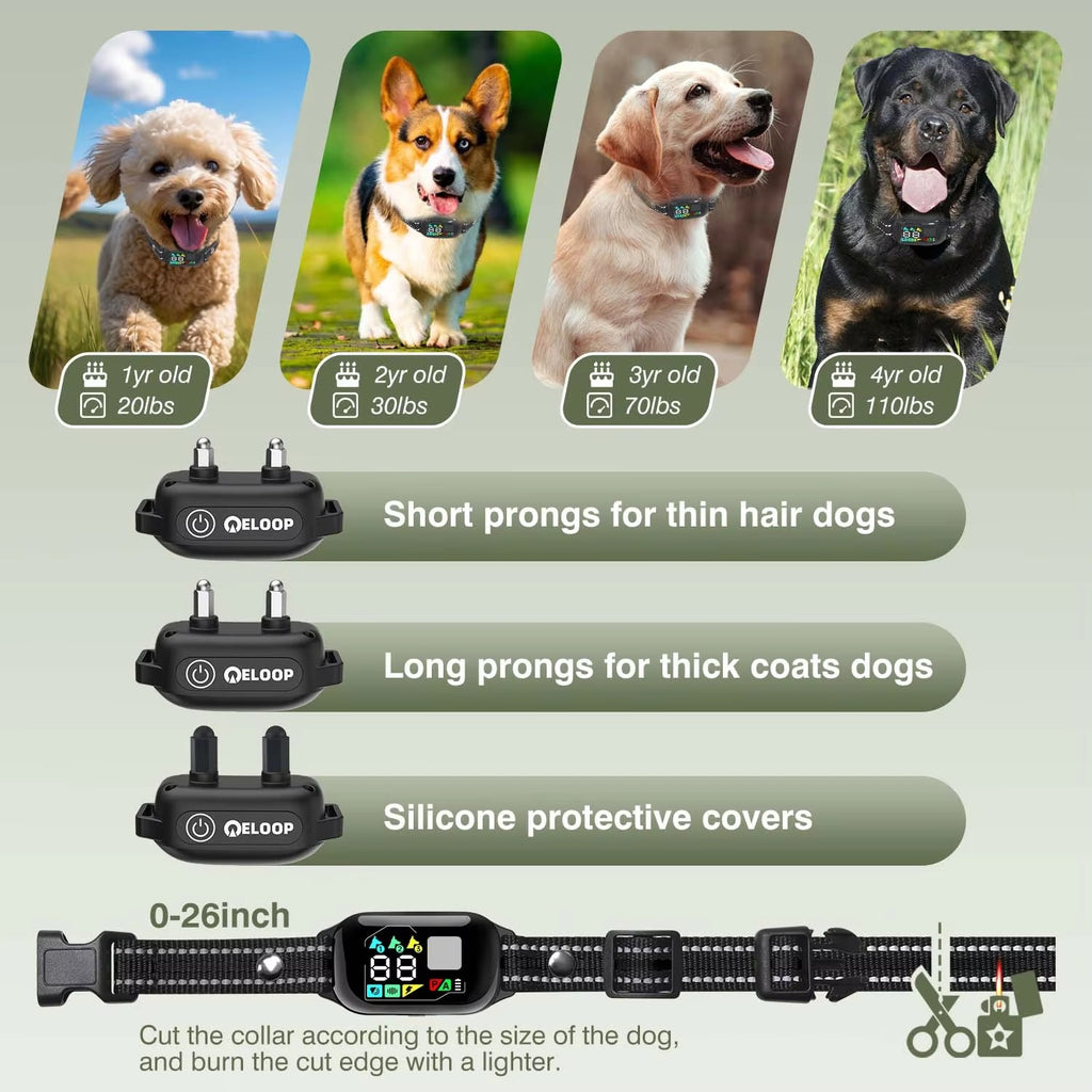 Smart Training Collar