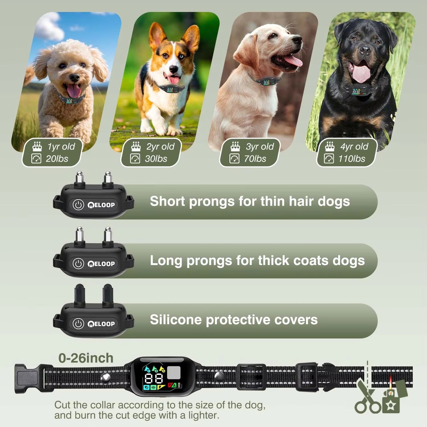 Smart Training Collar