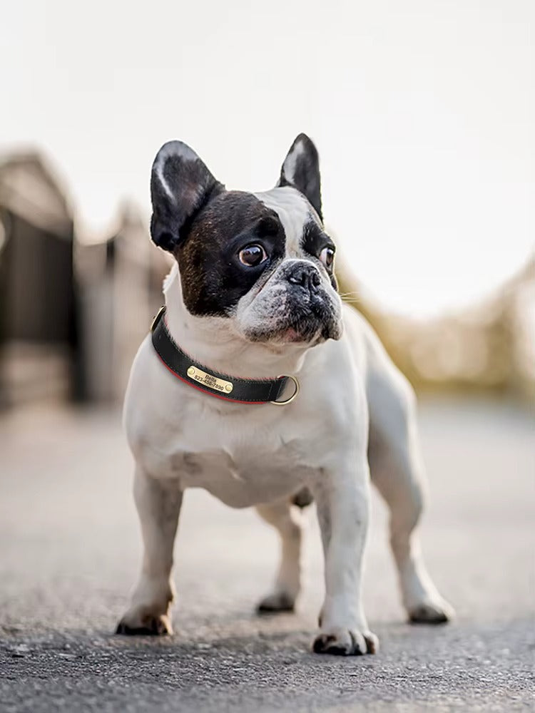 Engraved Bowknot Dog Collar with Custom Nameplate, Adjustable, Comfortable & Stylish Pet Collar for Small Dogs and Puppies