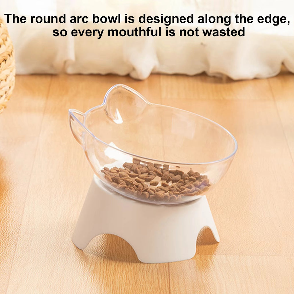 Tilted Raised Cat Bowls