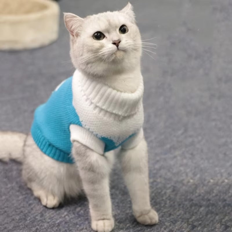 Sphynx Winter Sweater