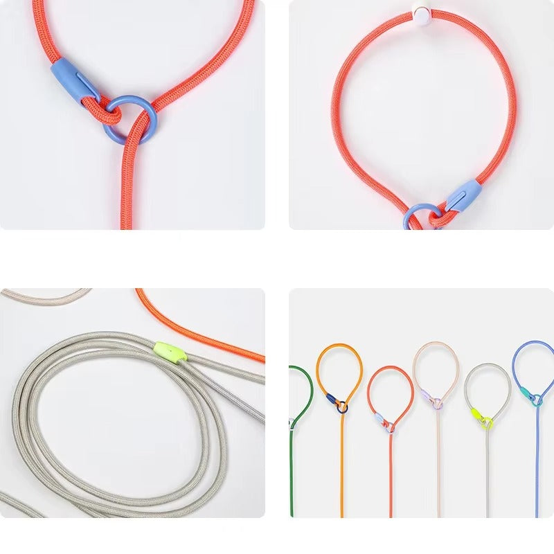 Adjustable Slip Rope Training Leash for Dogs – Strong, No-Pull Lead for Walking, Behavior Training and Outdoor Control