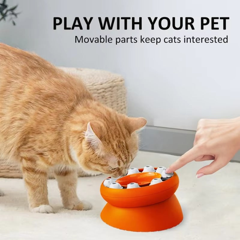Cat Slow Feeder Puzzle