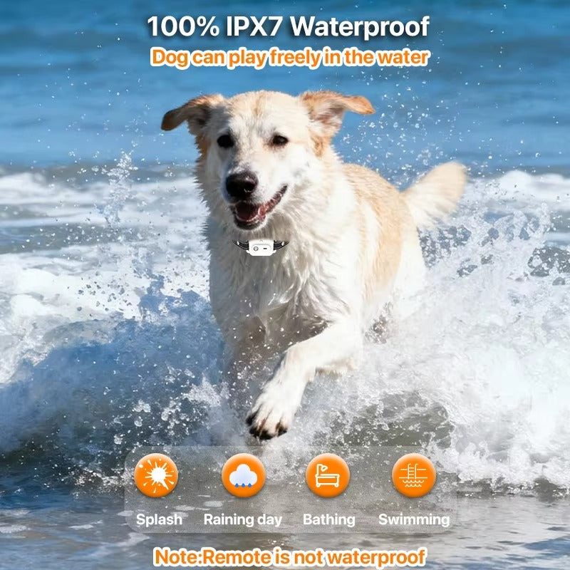 3300ft Remote Training Collar