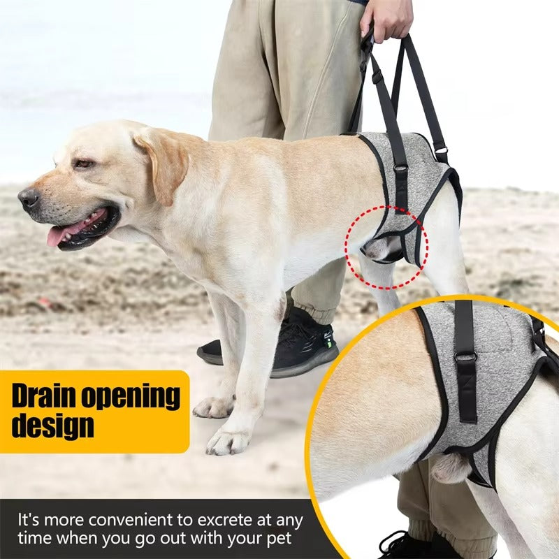 Adjustable Dog Lift Harness