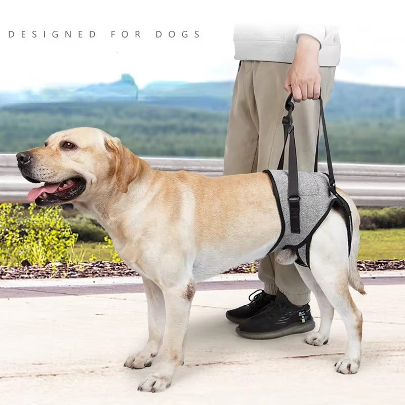 Adjustable Dog Lift Harness