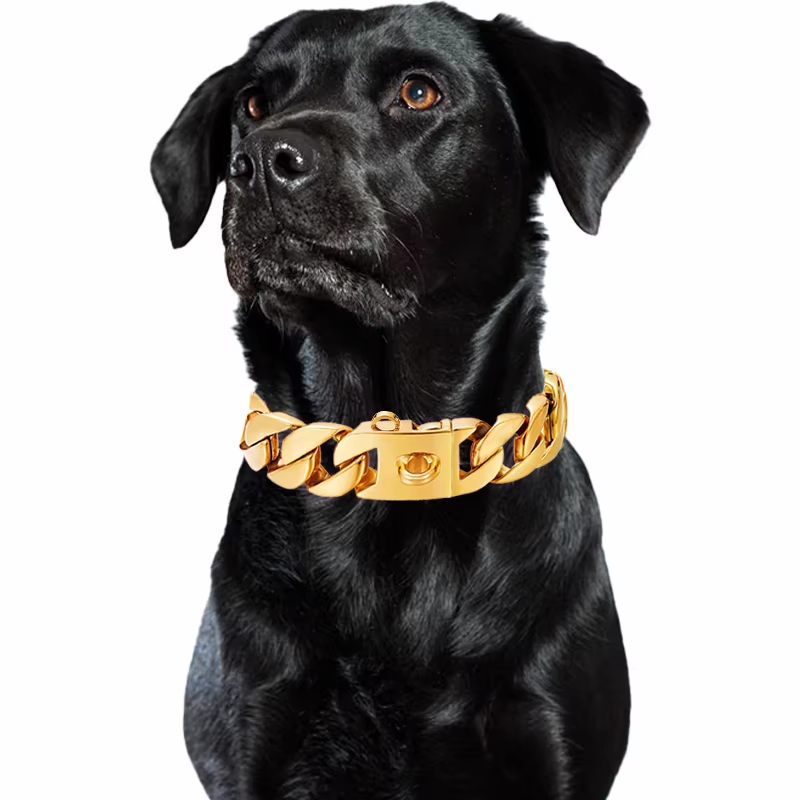 Metal Chain Dog Collar
