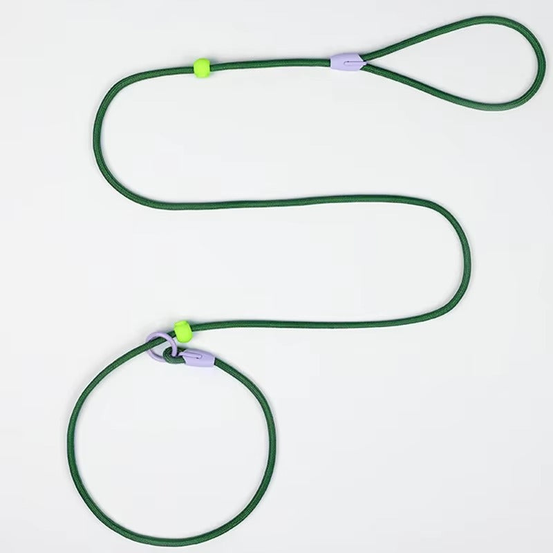 Adjustable Slip Rope Training Leash for Dogs – Strong, No-Pull Lead for Walking, Behavior Training and Outdoor Control