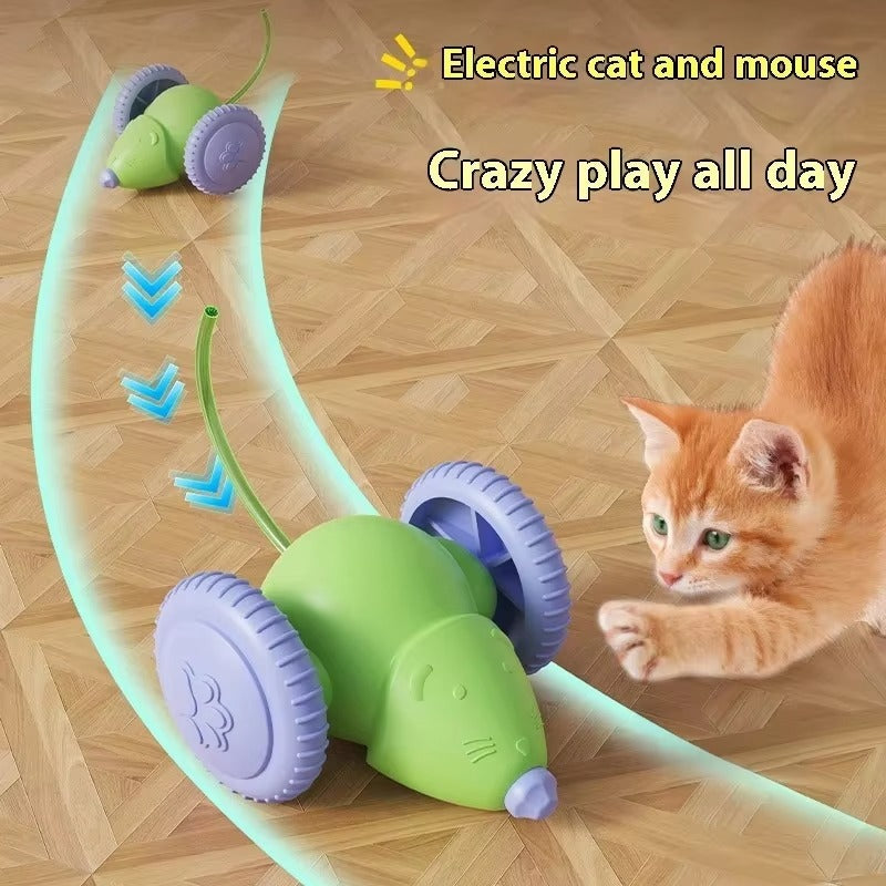 Electric Mouse Toy