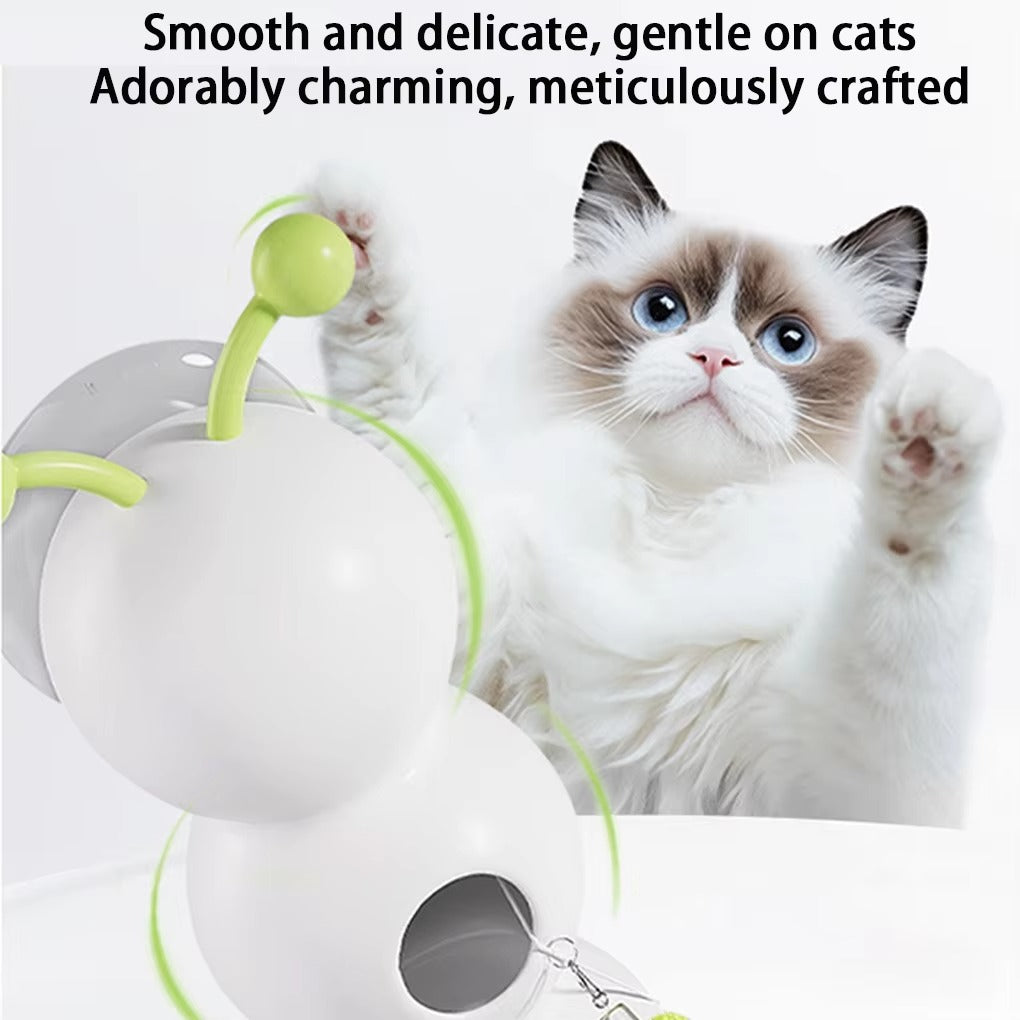 Interactive Worm Toy