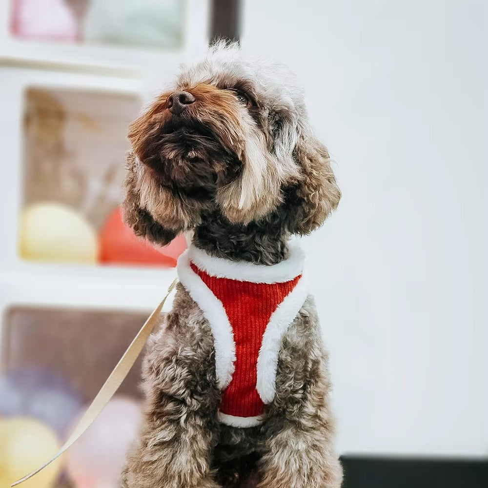 Winter Fur Harness Set