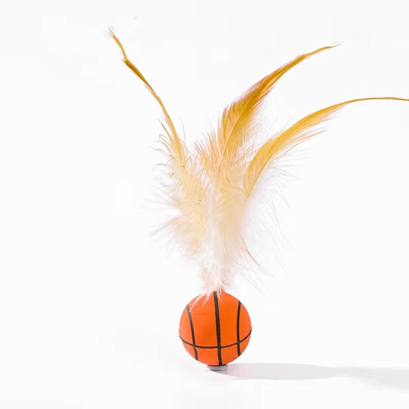 Feather Ball Toy