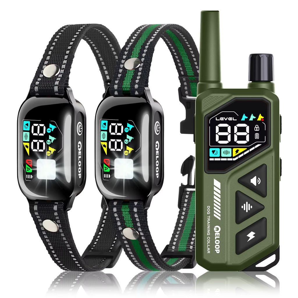 Smart Training Collar