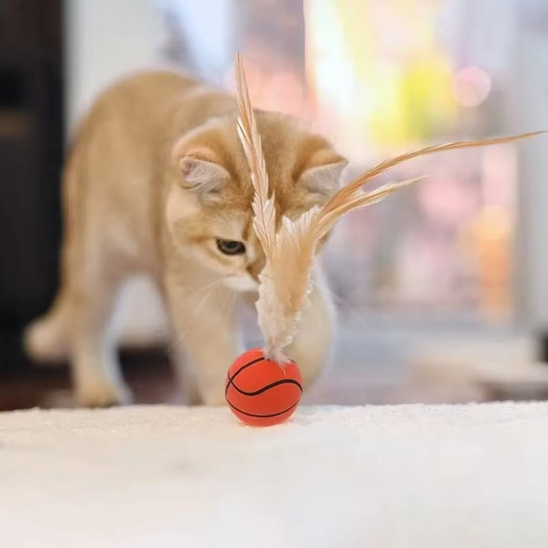 Feather Ball Toy