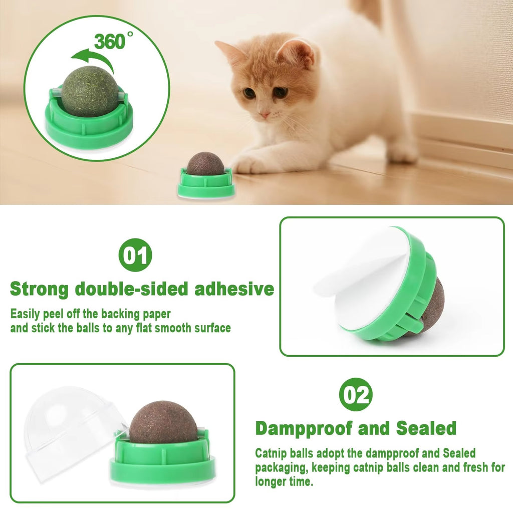 Catnip Wall Balls
